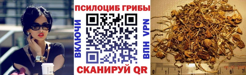 Псилоцибиновые грибы GOLDEN TEACHER цена Тюмень